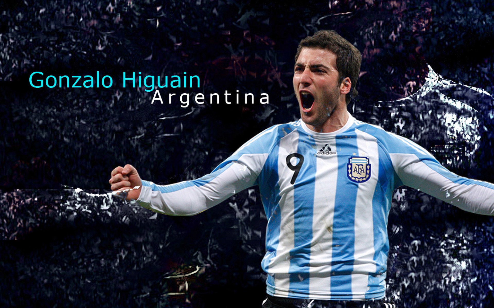 Aster积分排名领先赛区，nest积分榜