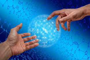 星空体育APP-德国仰泳项目技术稳定提升，德国仰泳项目技术稳定提升方案