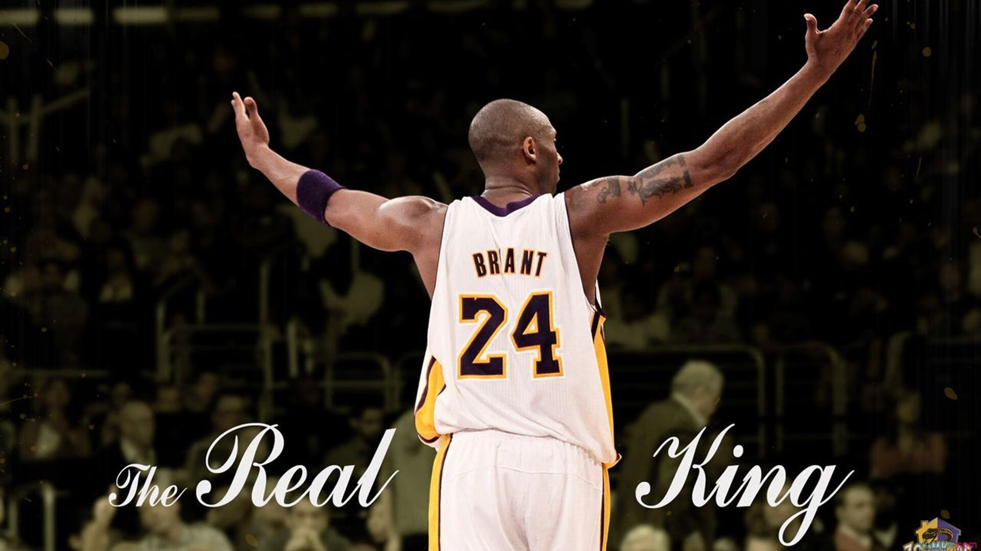 球员节奏感是否可通过数据模型进行预测,球场节奏大师