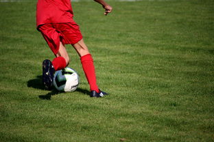 星空体育网站入口-CBA球队加强后勤保障体系优化训练和比赛准备，cba后备联赛